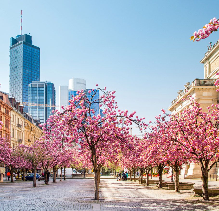 © djama - Fotolia.com